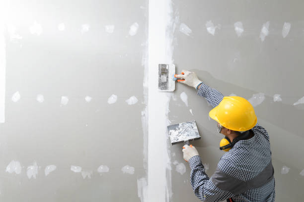 Best Black Mold Removal  in Woodlake, VA